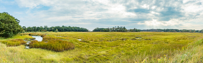 scenic swamp landscape in Scarboro, USA
