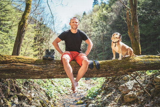 Smiling middle-aged man sitting on the fallen tree log over the mountain forest stream with his beagle dog while he waiting for laundry drying and trekking boots. Traveling with pets concept image.