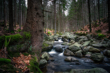 Bavarian Waterfalls