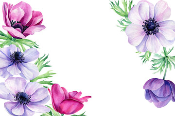 Watercolor flowers, anemones on isolated white background, wedding invitation 