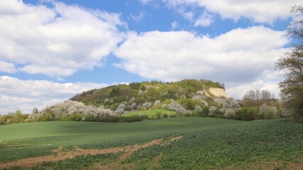 A view to the Maly Chlum hill with blue sky above near Boritov, Czech republic