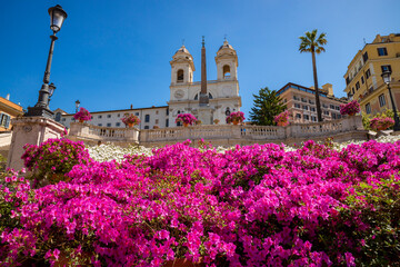 Fototapeta na wymiar Front panorama of the Spanish Steps, Trinit dei Monti with the church and the obelisk, Rome. In spring with the explosion of pink and white azaleas all along the scale. Italy. 