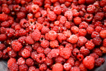 Raspberries background. Fresh red berries of ripe raspberries