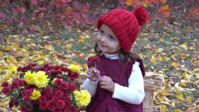 Slow Motion Little girl sitting on a plaid in the autumn forest.