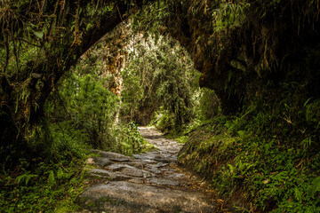 Inca Trail, Cusco - Peru