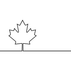 Black maple leaf line vector icon.