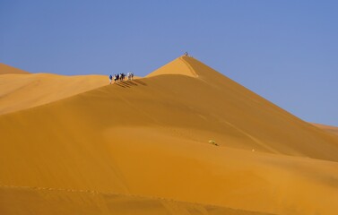 Fototapeta na wymiar Sand Dunes in Namib-Naukluft National Park, Namibia