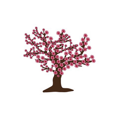 Isolated sakura icon Japanese tree