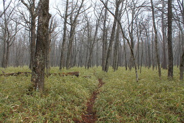 Nikkō-Nationalpark (日光国立公園 Nikkō Kokuritsu Kōen) during October | Typical landscape