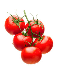 Red tomatoes on a branch with drops of water on a white background isolate