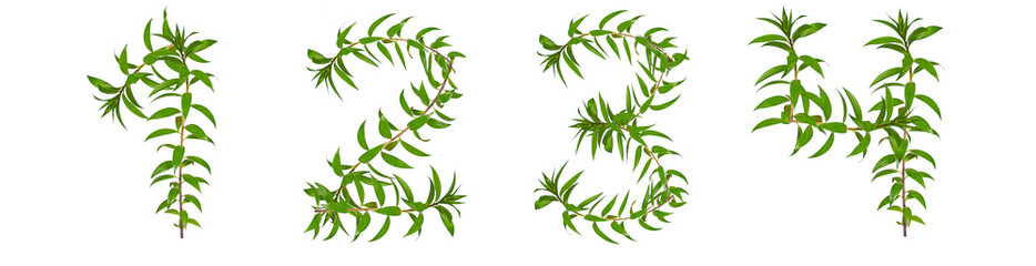 Numbers 1, 2, 3, 4 made of green plants