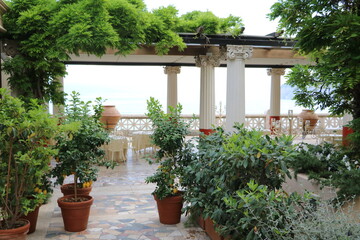 Fototapeta na wymiar Garden with Lemon tree, Italy