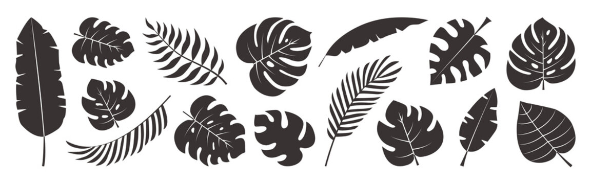 Tropical leaves vector set, black palm leaf doodle design isolated on white background. Nature exotic illustration