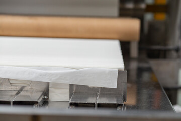 Fototapeta na wymiar Machine for paper napkins (tissue). A toilet paper-making machine producing toilet and bathroom paper rolls. Paper and tissue manufacturers factory and engineered machine