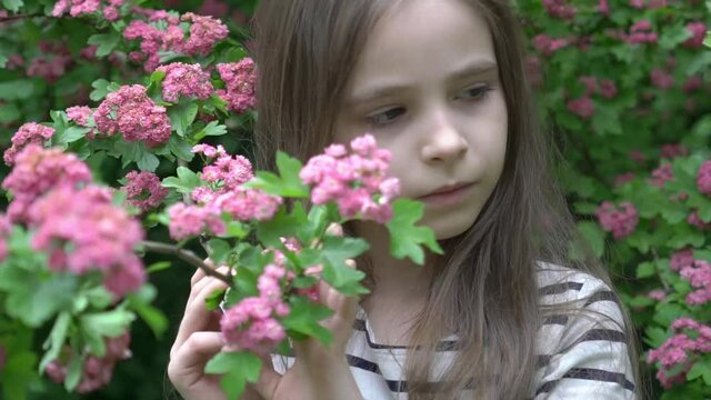 Beautiful little girl enjoy spring blooming. Little girl in garden tree flowers.