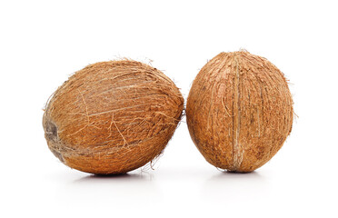 Two ripe coconuts.