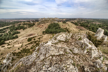 Medieval Royal Castle in Olsztyn
