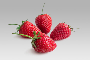 Four bright ripe red strawberries, sweet dessert on a light background