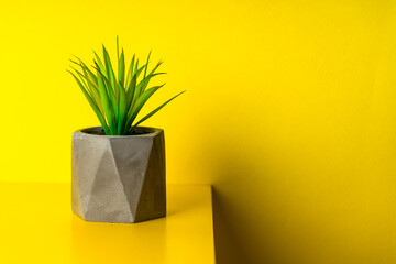 artificial plant over yellow background with shadow. houseplant decor. interior design concept