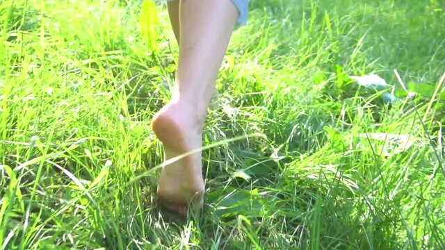 Slow Motion Barefoot slender legs of young woman walking in tall grass at summer