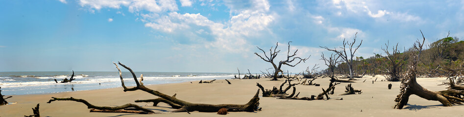 A panoramic view of a beautiful pristine undeveloped beach on a South Carolina, USA, barrier island. - obrazy, fototapety, plakaty