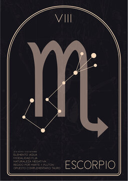 Scorpio zodiac sign / escorpio