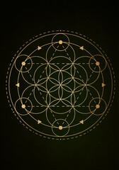 Sacred Geometry gold symbol, Seed of life sign. Geometric mystic luxury mandala of alchemy esoteric Flower of Life.