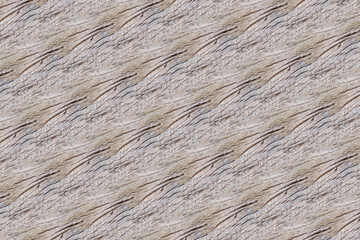 wood tree timber pattern texture backdrop