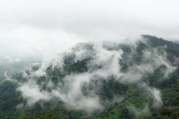 fog in the mountains