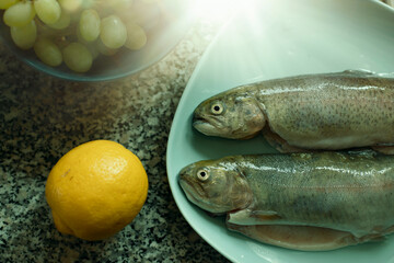 Fresh rainbow trouts on the plate in the kitchen.