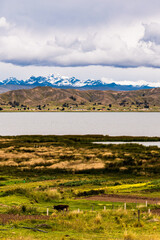 Fototapeta premium Cordillera Occidental de los Andes desde el lago Titicaca