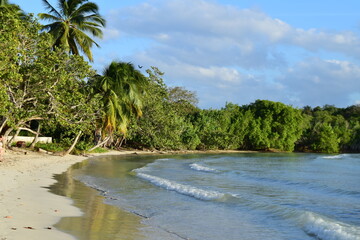 Caribbean paradise beach