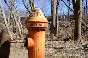 Fototapeta premium Fire Hydrant