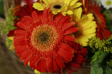 Flores
