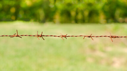 Rusty strong looking barbed wire in meadow has long been used as a fence to contain something like cattle.