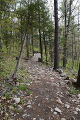 Maddington falls in southern Quebec 