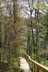 Fototapeta premium Maddington falls in southern Quebec 