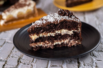 Slice of chocolate cake with coconut and chocolate filling