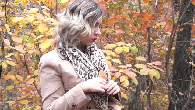 Young attractive blond woman outdoors on fall background. Autumn portrait of bea