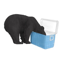 Bear in the cooler