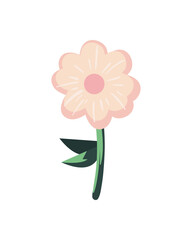 Isolated pink flower