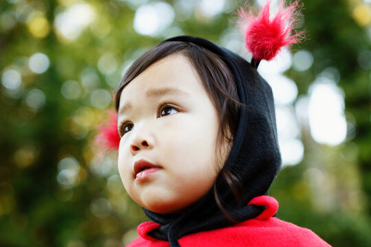 Young girl dressed up as ladybird