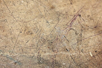 close up view of a net