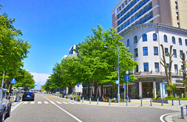 新緑の横浜。日本大通りの街並み。
