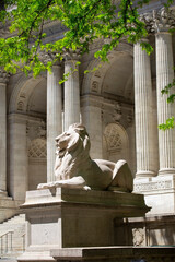 View of New York's public library on the fifth avenue
