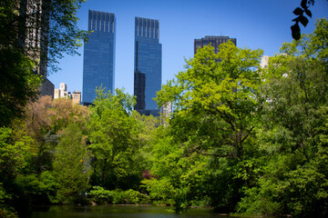 view of Central Park in New York City