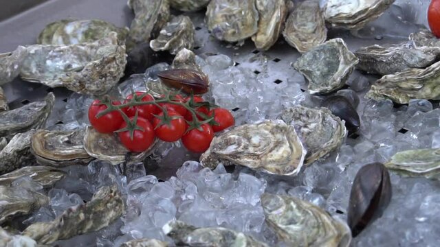 Slow Motion Fresh oyster sea food banqueting