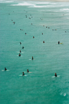 Surfers in sea, Matadeiro beach, Florianopolis, State of Santa Catarina, Brazil