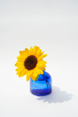 自然光で撮影したひまわり