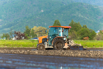 Fototapeta premium トラクターでの代掻き作業（田掻き） 農業 水田 稲 農家